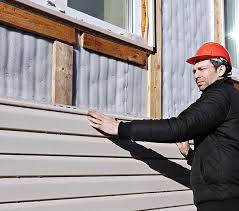 Best Historical Building Siding Restoration  in Blue Ridge, TX